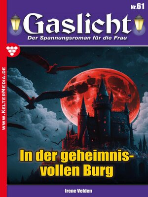 cover image of In der geheimnisvollen Burg